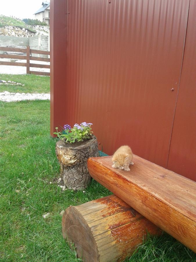 자블야크 Boskovica Brvnare 게스트하우스 외부 사진