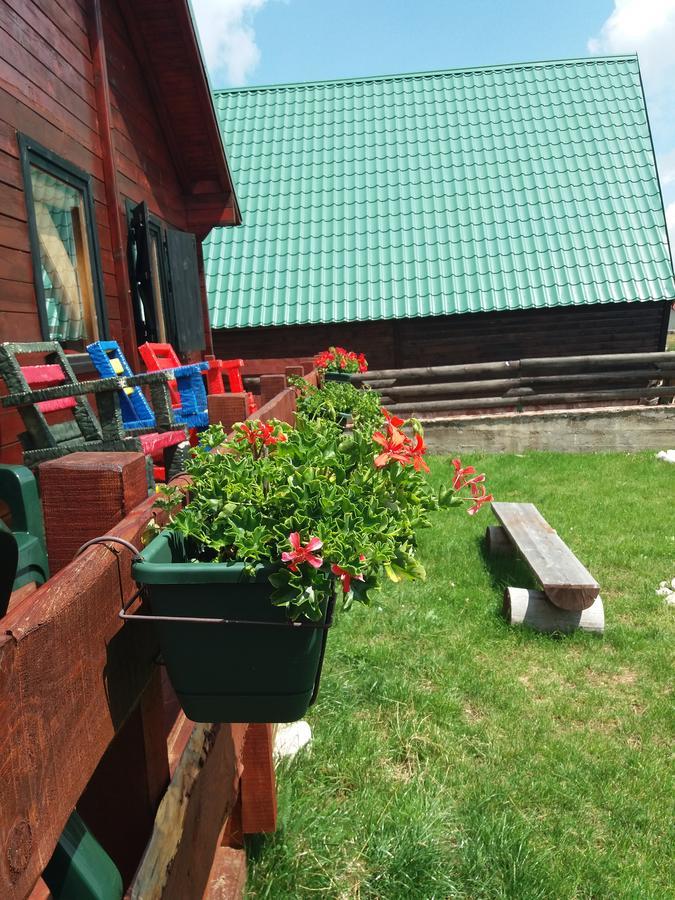 자블야크 Boskovica Brvnare 게스트하우스 외부 사진